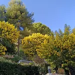 Belle Vue De Villefranche-sur-Mer