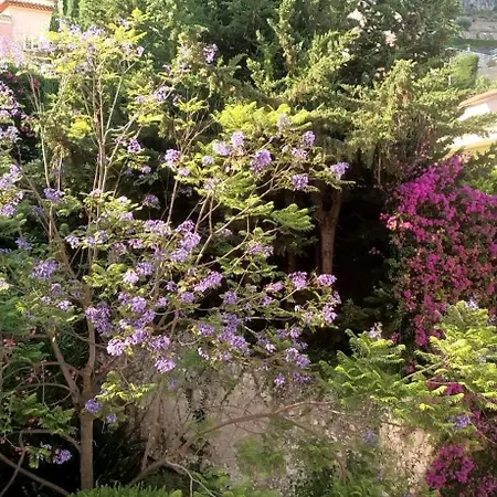 Lägenhet Belle Vue De Villefranche-sur-Mer